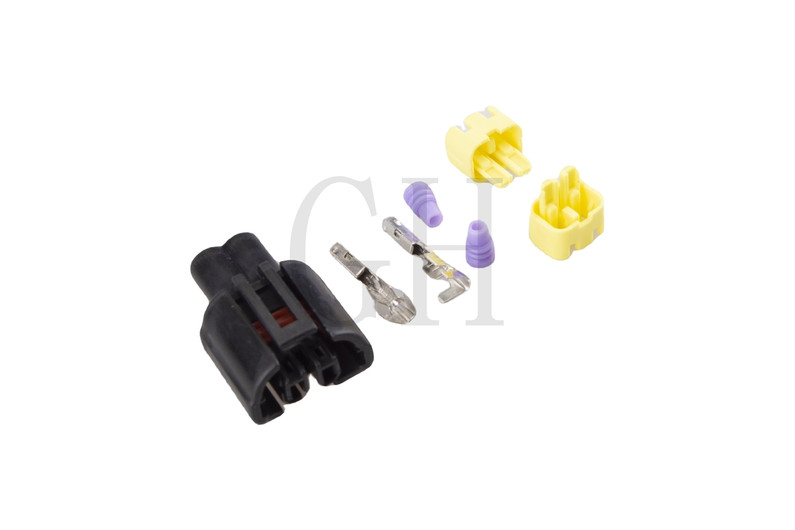 AC Compressor Plug Buick Valve Plug 2 Pins	Buick Docking Frequency Conversion Valve